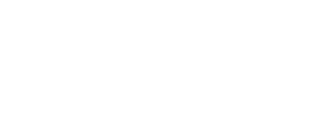 Vanguard Battery Systems Logo